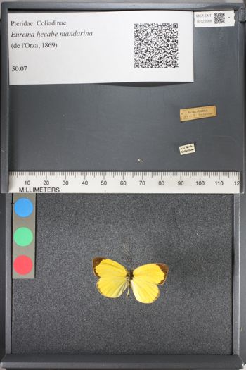 Media type: image;   Entomology 123568